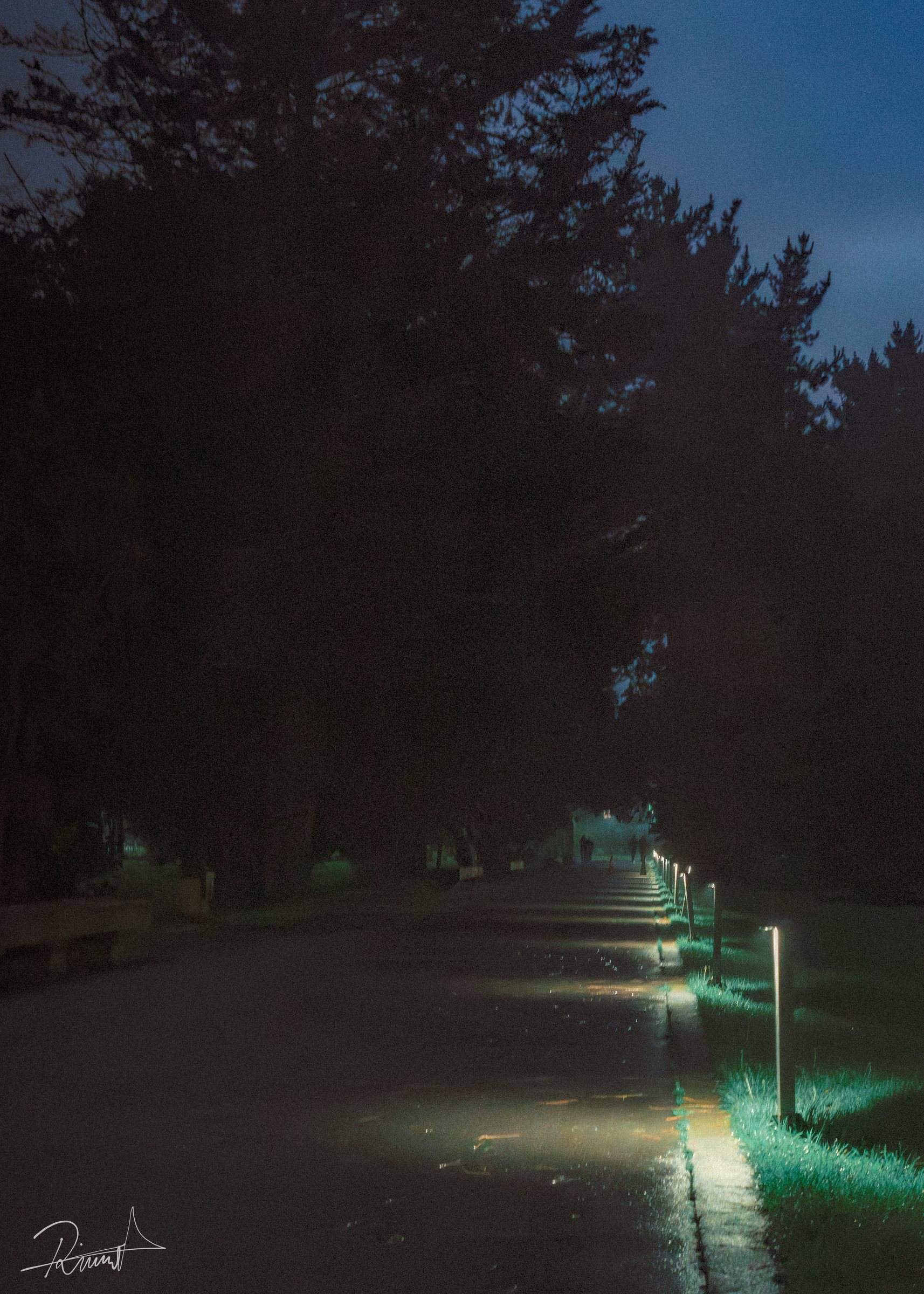 Sendero de parque iluminado durante la noche