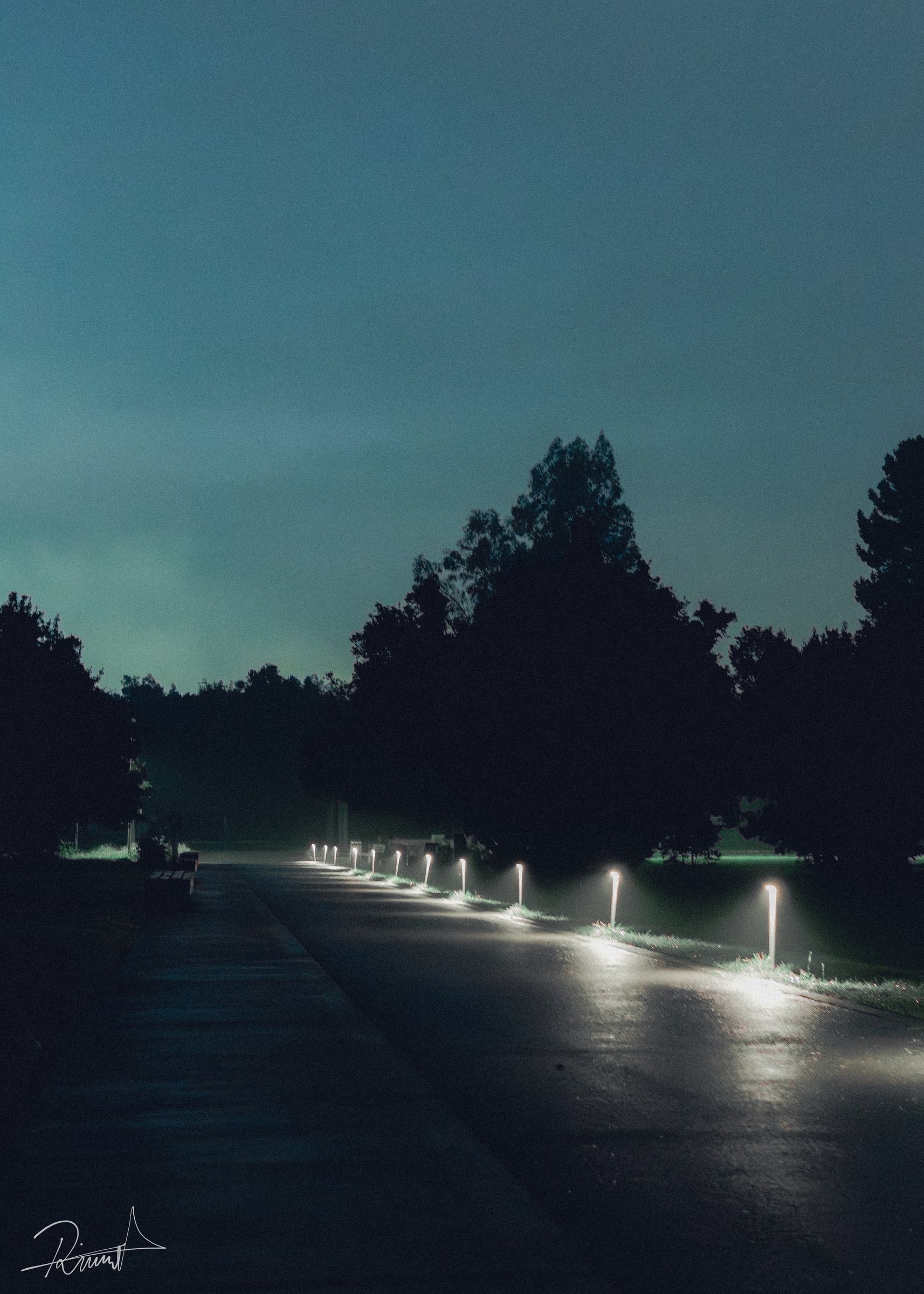 Sendero nocturno marcado por una línea de pequeñas luces